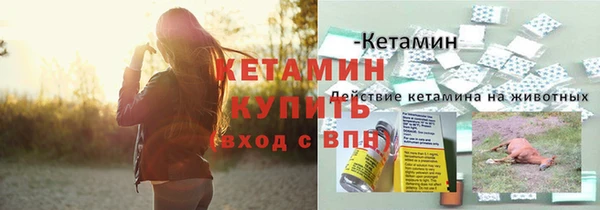 мет Каменка