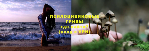 хмурый Каменногорск