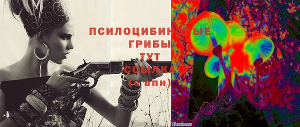 хмурый Каменногорск