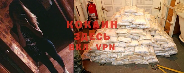 мет Каменка