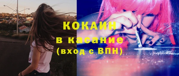 соль ск Дмитров