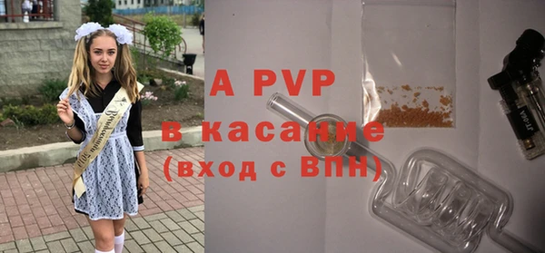 хмурый Каменногорск