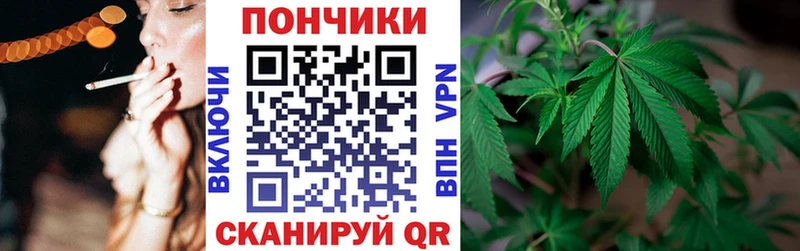 Купить закладки  Камешково  Каннабис планчик 